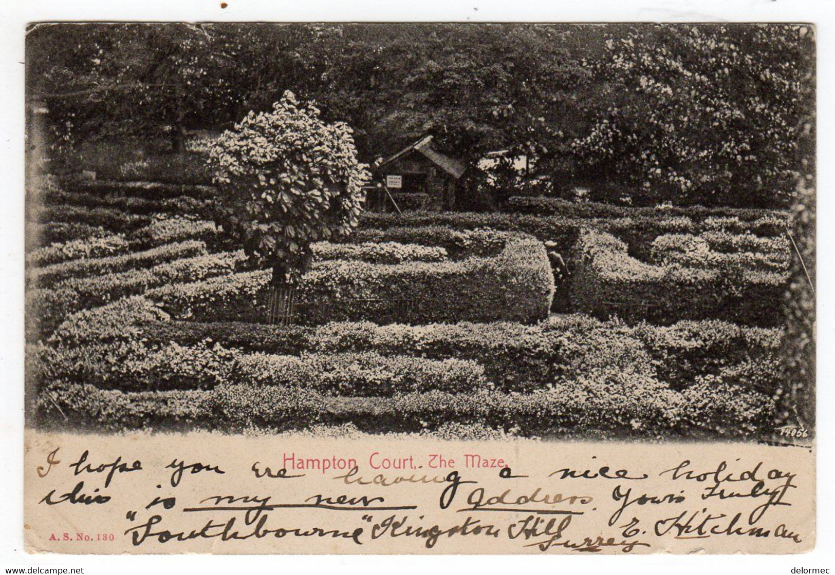 CPA England United Kingdom Middlesex Palace Hampton Court The Maze éditeur AS N°130 - Middlesex