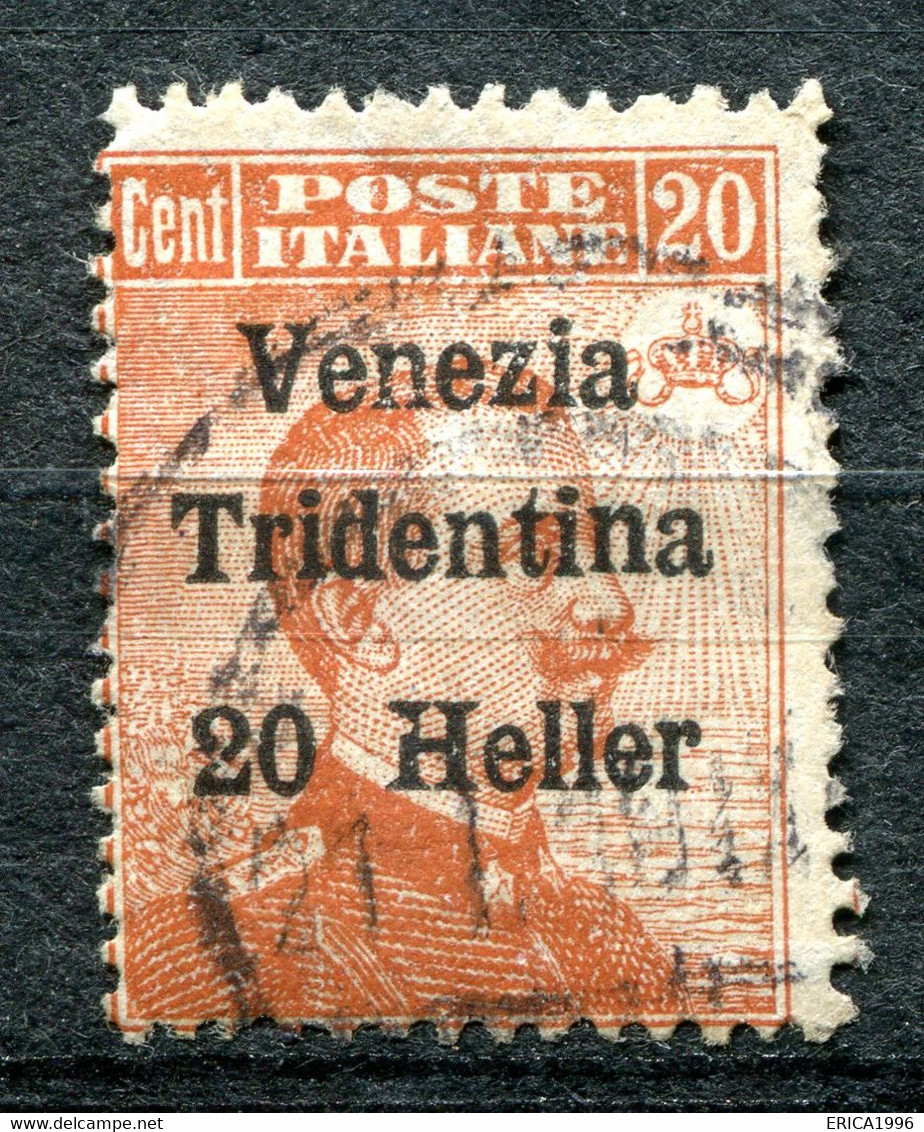 Z3164 ITALIA TERRE REDENTE Trentino-Alto Adige 1918, 20 H. Su 20 C., Usato, Sassone 30, Ottime Condizioni - Trento