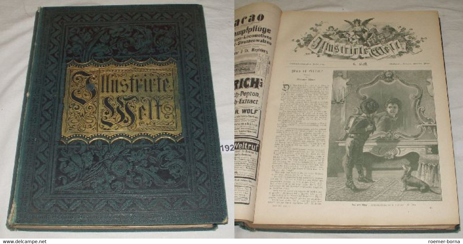 Illustrirte Welt - Deutsches Familienbuch - Blätter Aus Natur Und Leben 1895 - Autres & Non Classés