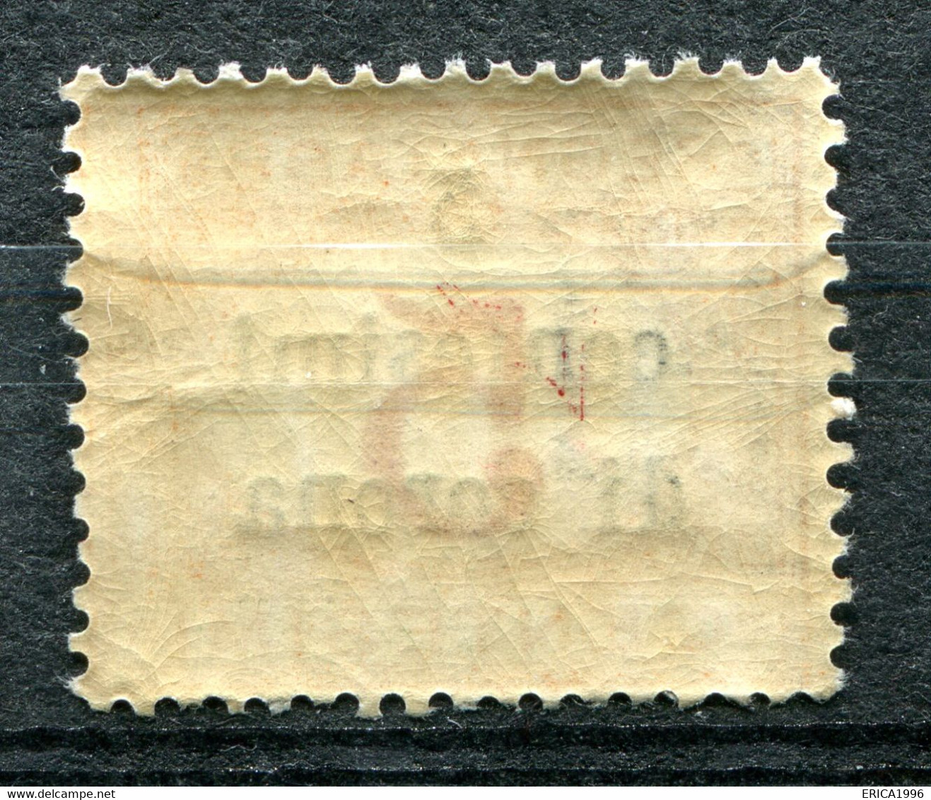 Z3151 ITALIA TERRE REDENTE Trento E Trieste 1919 Segnatasse, 5 C. Su 5 C., VARIETA', Non Catalogata, 5 Cent. In Sovrasta - Trento