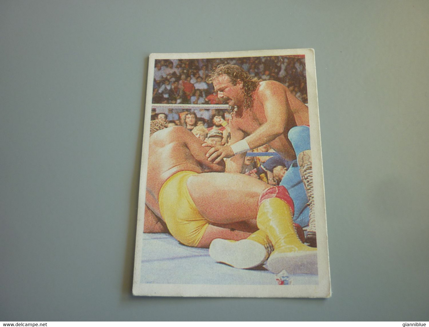 Jake The Snake Hulk Hogan WWF Wrestling Old 90's Greek Edition Trading Card - Trading-Karten