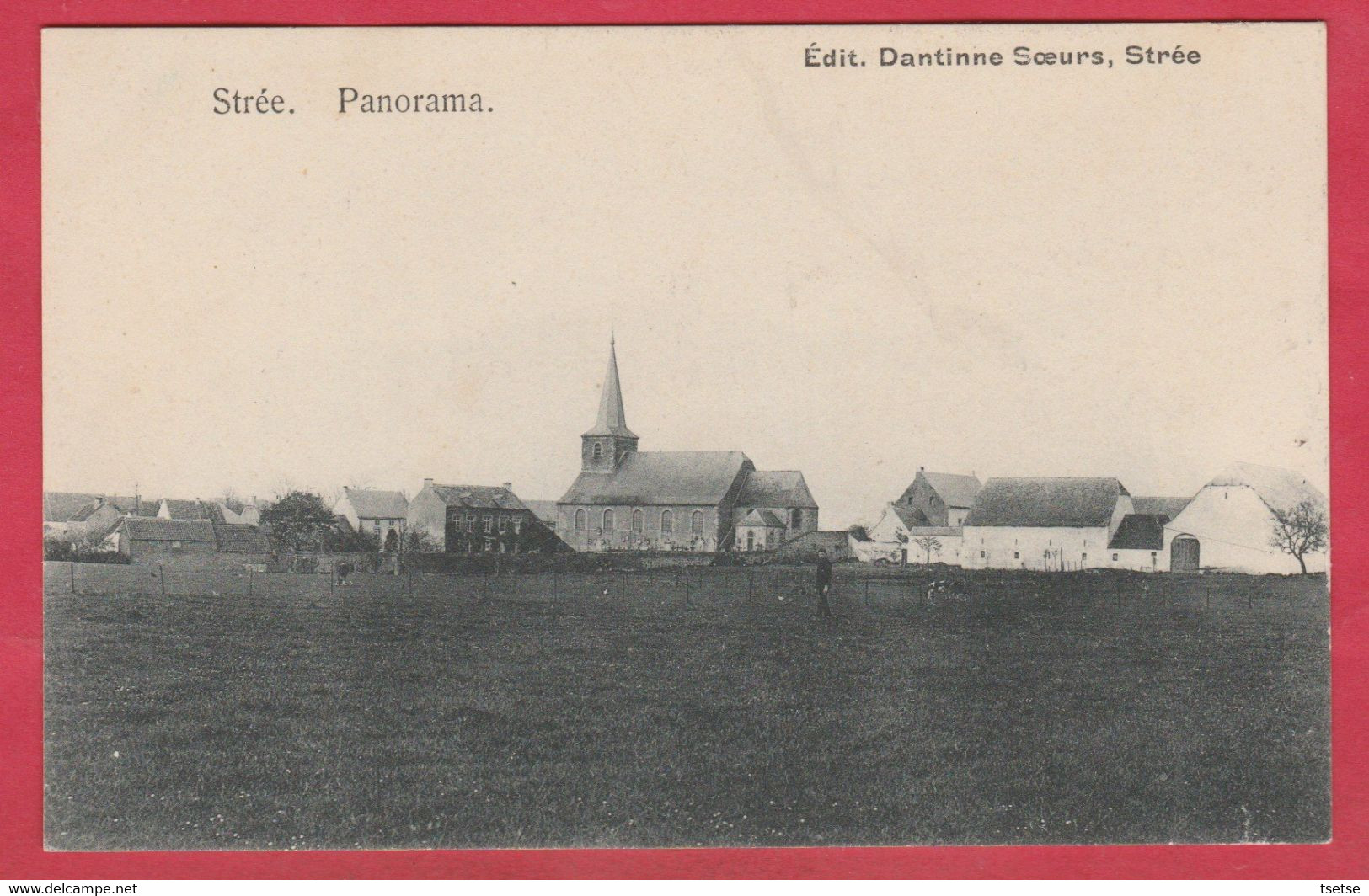 Strée - Panorama ... Du Village ( Voir Verso ) - Beaumont