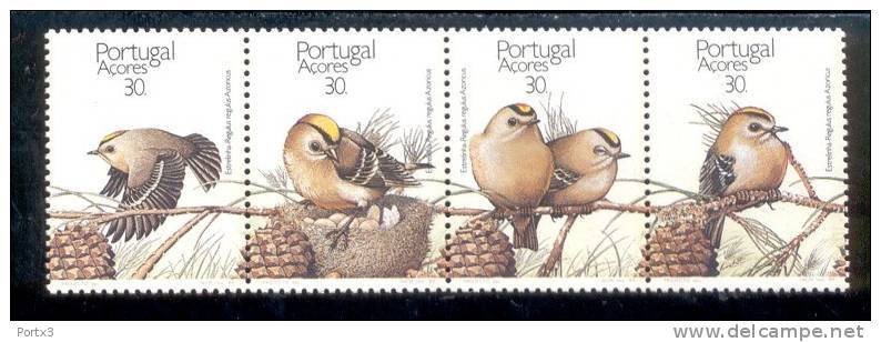 397 - 400  Naturschutz Vögel  / Birds Acores  Postfrisch MNH ** - Azores