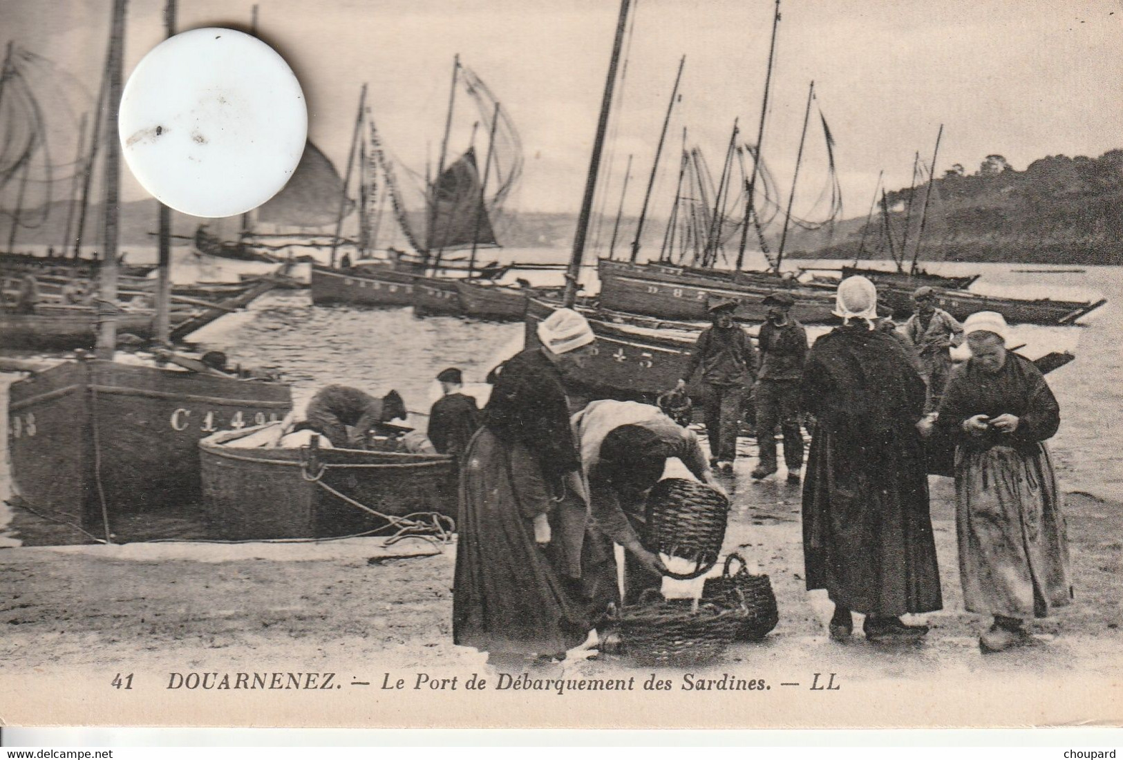 29 - Très Belle Carte Postale Ancienne De  DOUARNENEZ  Le Port De Débarquement Des Sardines - Douarnenez