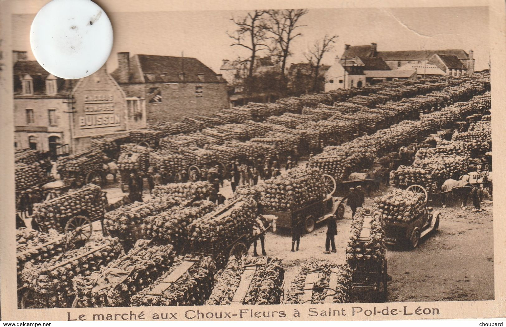 29 - Très Belle Carte Postale Ancienne De  SAINT POL DE LEON   Le Marché Aux Choux Fleurs - Saint-Pol-de-Léon