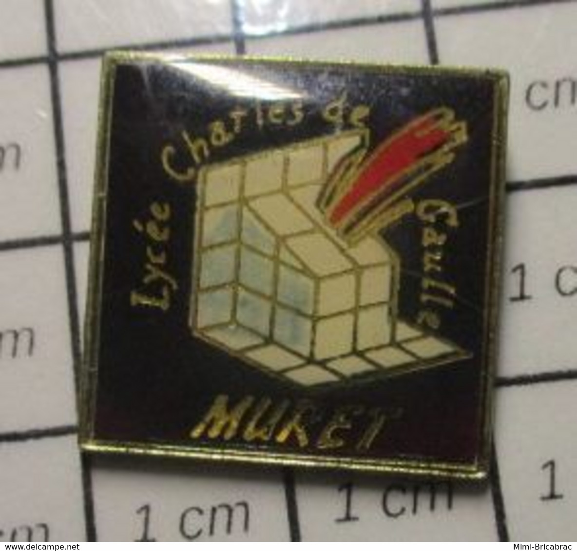 1214d Pin's Pins / Beau Et Rare / THEME : ADMINISTRATIONS / LYCEE CHARLES DE GAULLE MURET Haute-Garonne - Administrations