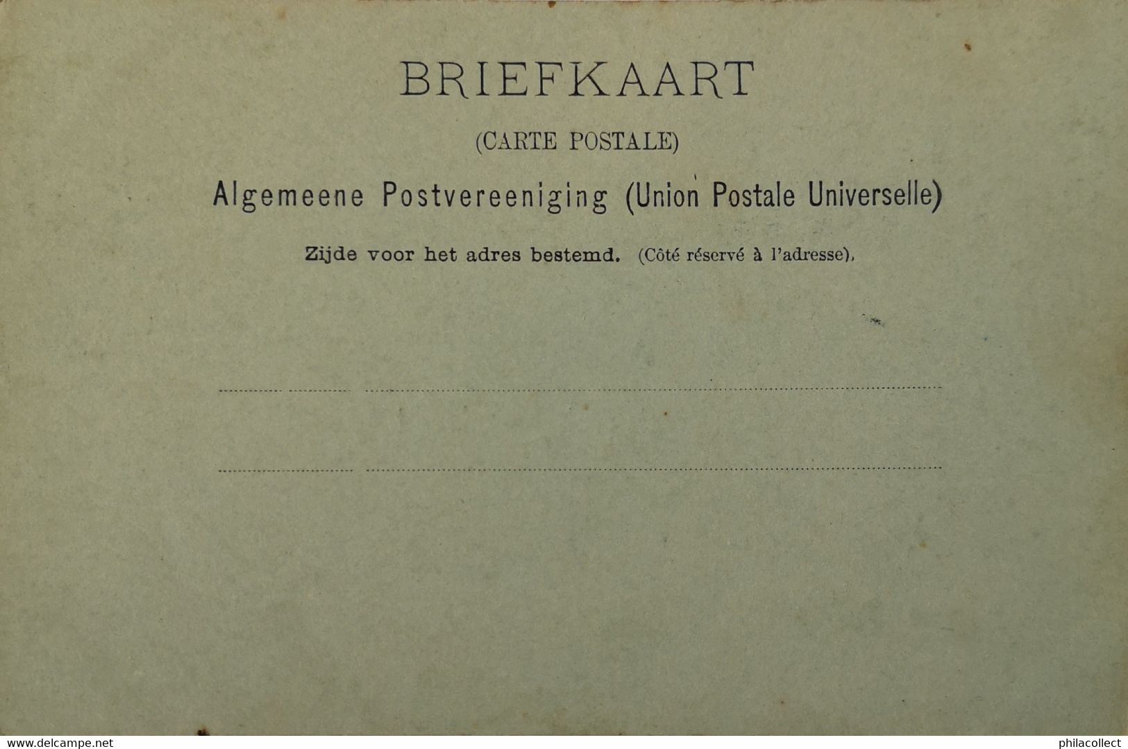 Zandvoort // Maanlicht Kaart / Groeten Uit Ca 1899 - Zandvoort