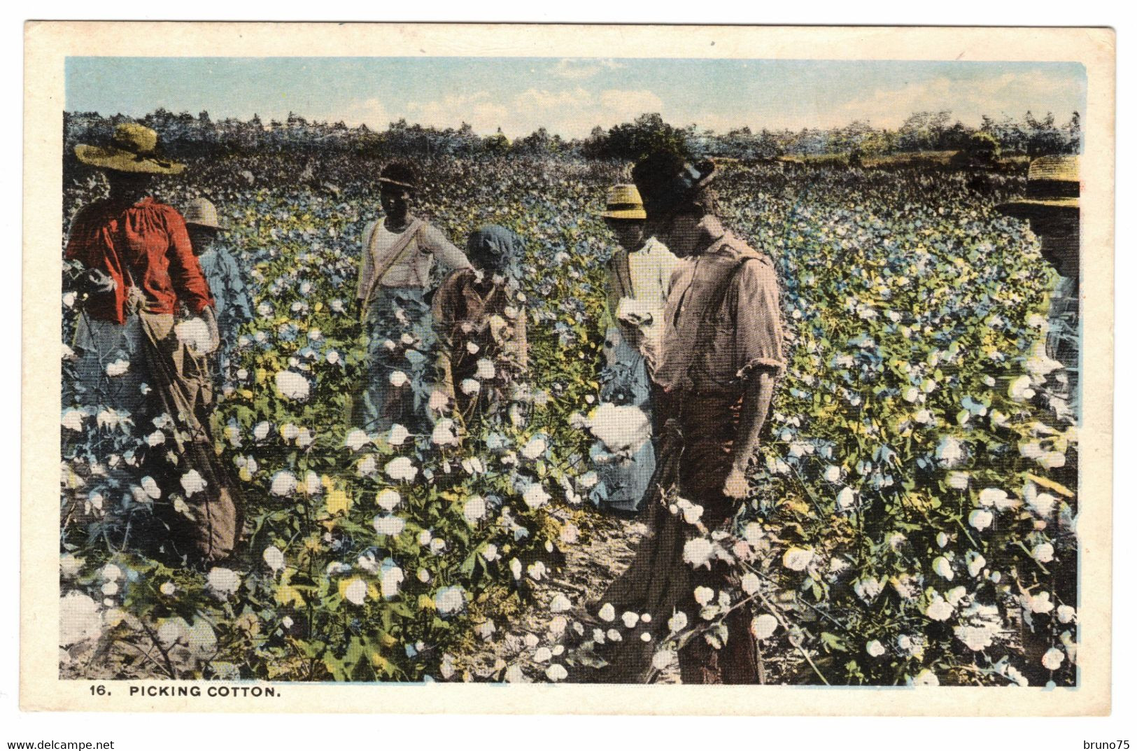 PICKING COTTON - Black Americana