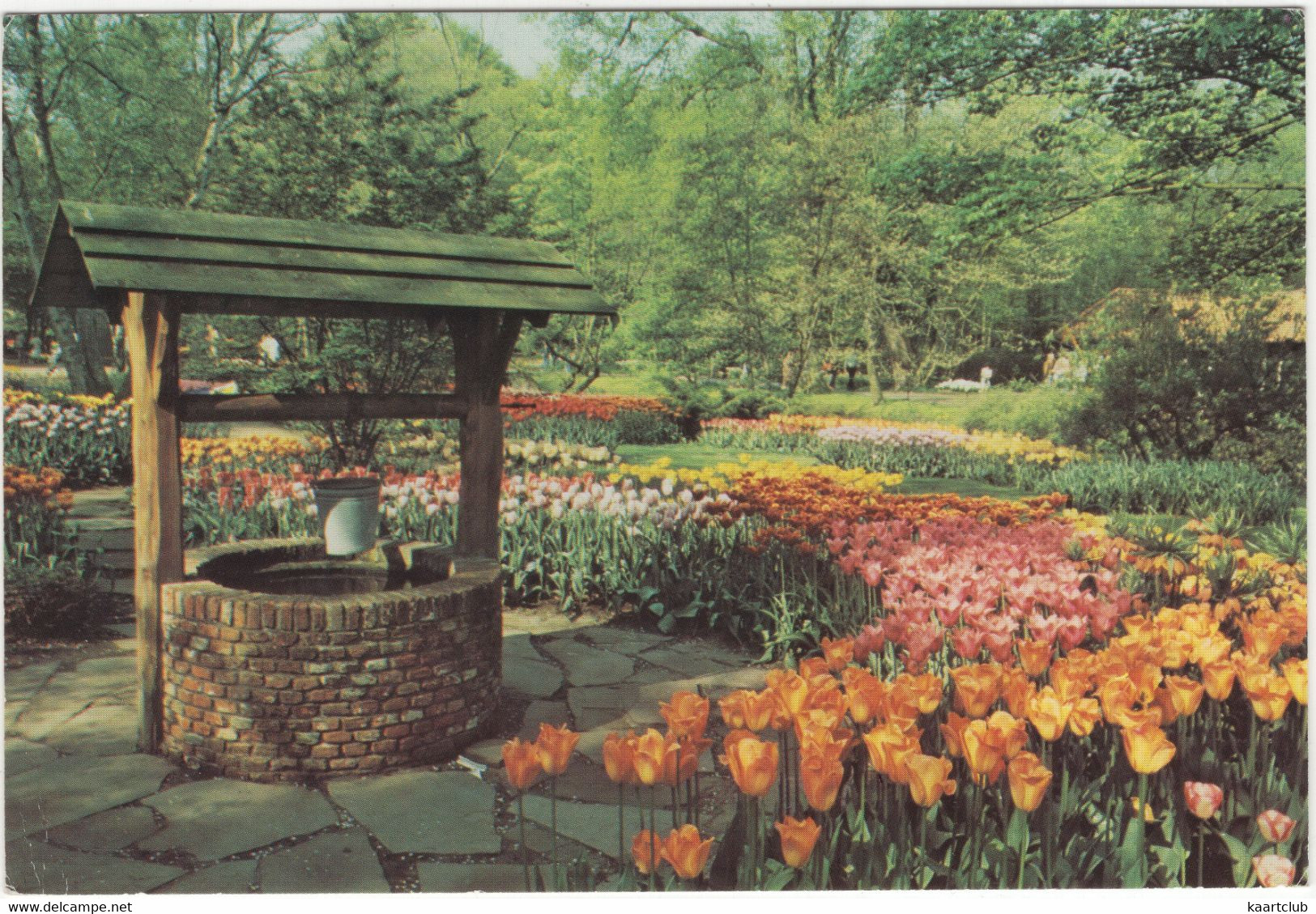 'Keukenhof' Lisse - Holland - (Waterput, Tulpen) - Lisse