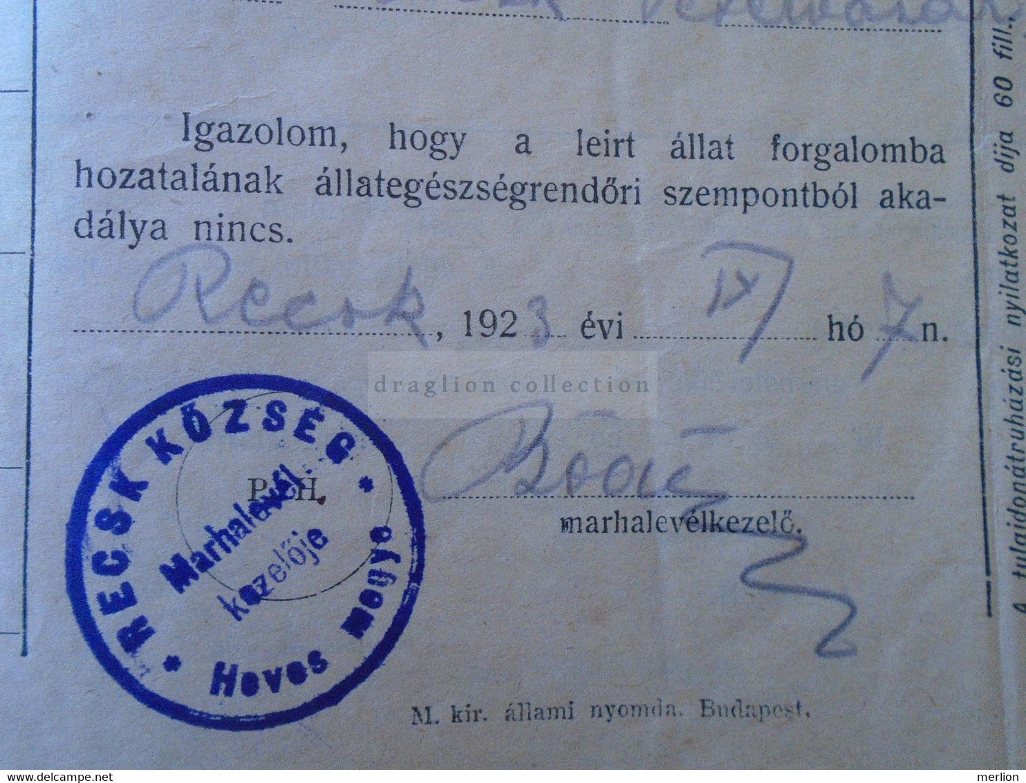 ZA323A2  Hungary  1923 Revenue Stamp   Recsk Heves M. 10  Korona Stationery   Vieh Pass Marhalevel Cattle Pass - Fiscale Zegels