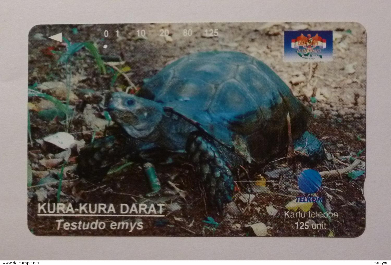 TORTUE - KURA KURA DARAT - TESTUDO EMYS - INDONEDIE - Carte Téléphone TELKOM / Phonecard INDONESIA - Turtles