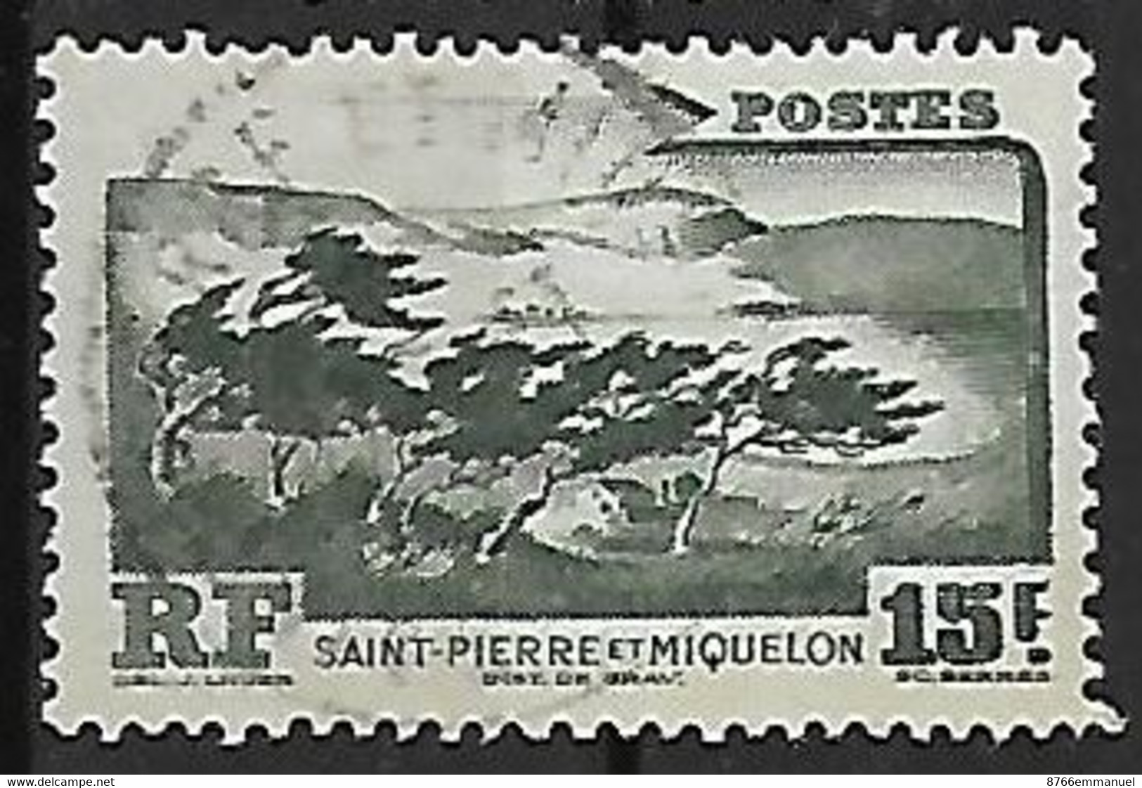 SAINT-PIERRE-ET-MIQUELON N°341 - Used Stamps