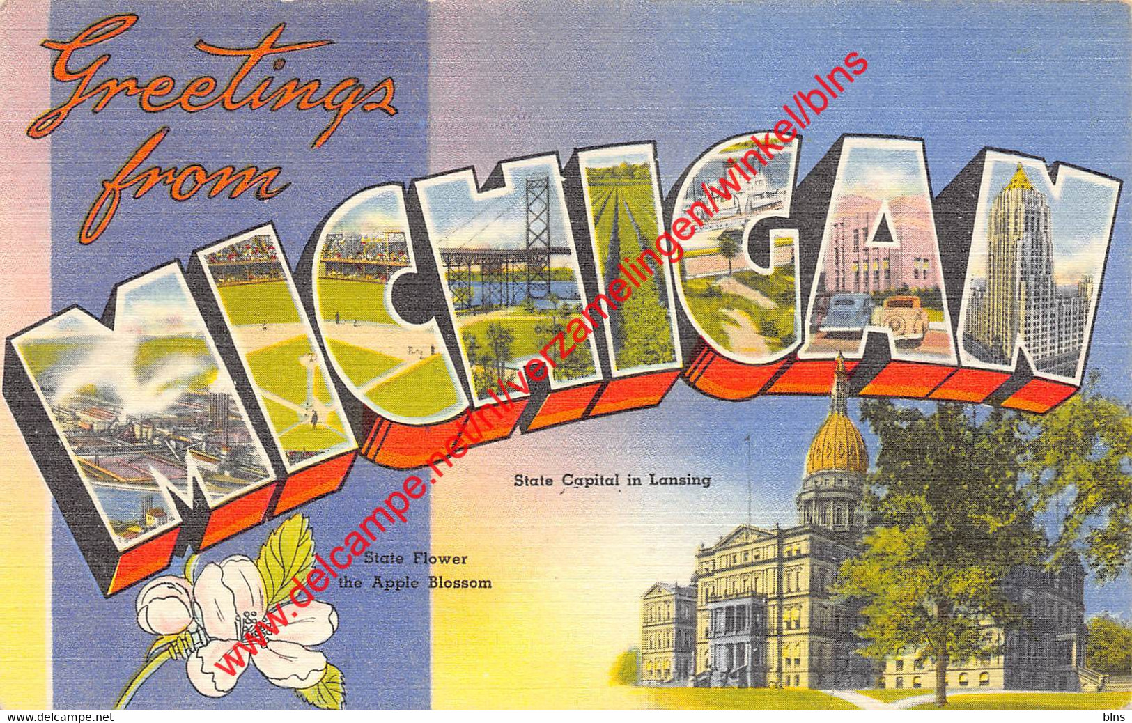 Greetings From Michigan - State Capital In Lansing - Michigan - United States - Lansing