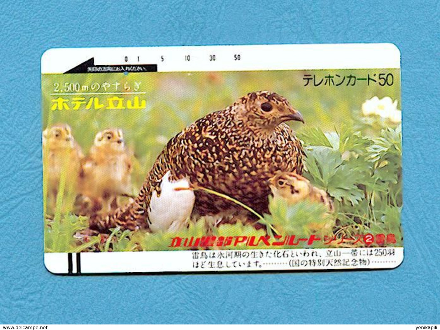 ( 5683 ) -  Télécarte  JAPON - Ancienne - Animal - ( PERDRIX Avec Ses Poussins ) - *** TBE ***  - Voir Scan - - Oerwoud