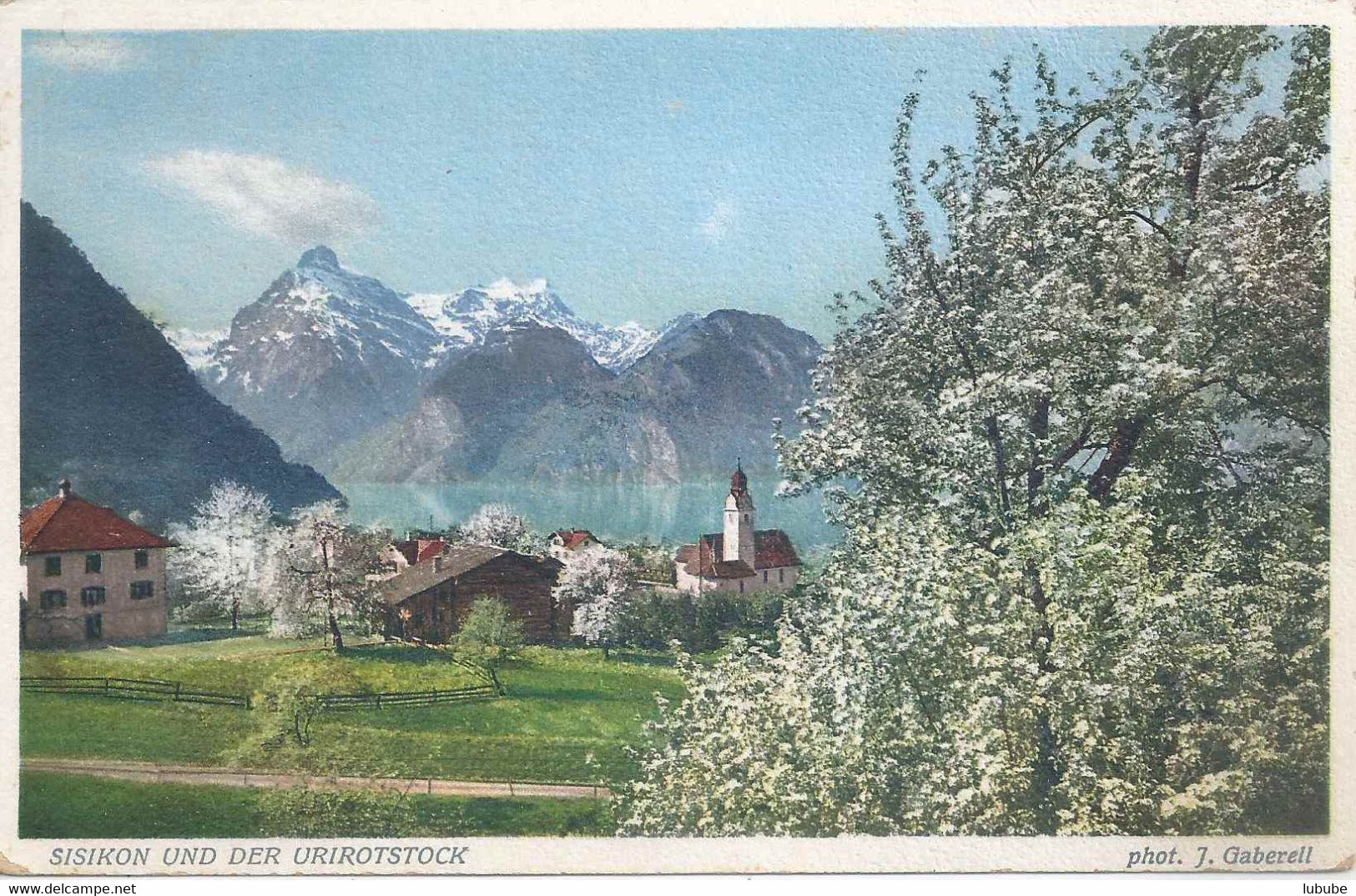 Sisikon - Dorf Im Frühling          Ca. 1925 - Sisikon