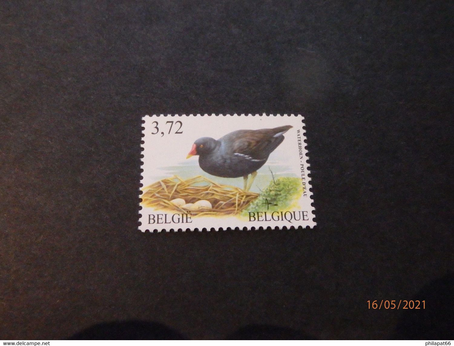 A.Buzin 3212 Waterhoen Aan Spotprijs - 1985-.. Birds (Buzin)