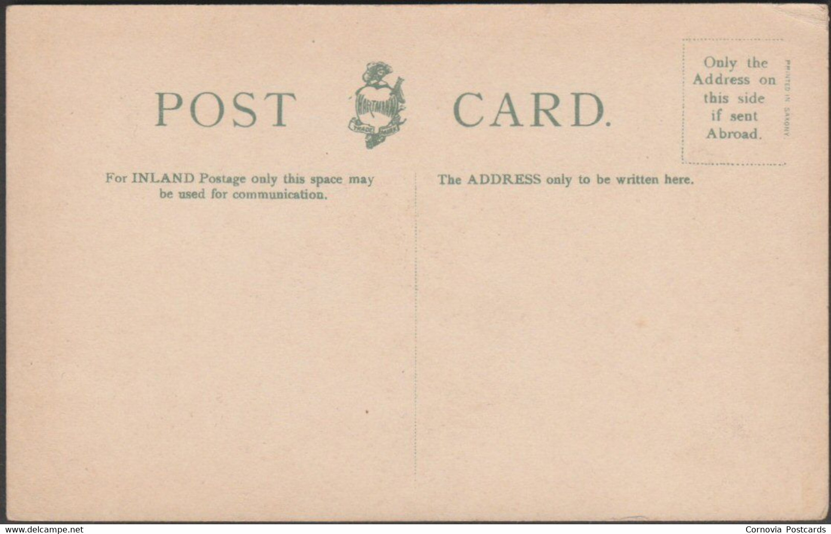 Tors & Town From Capstone Hill, Ilfracombe, C.1905 - Hartmann Postcard - Ilfracombe