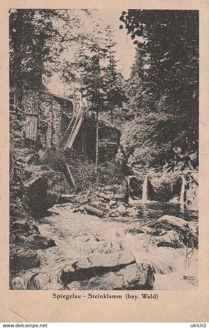 AK Spiegelau - Steinklamm - Bay. Wald  (59962) - Freyung