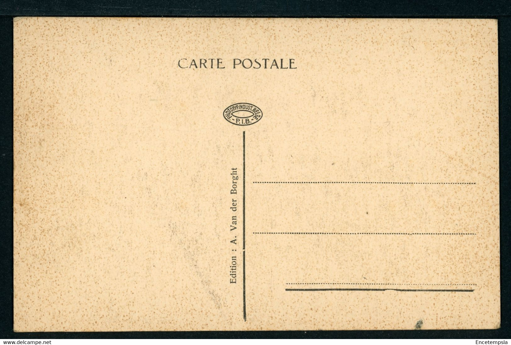 CPA - Carte Postale - Belgique - St Amands - Tombeau D'Emile Verhaeren (CP19971) - Sint-Amands