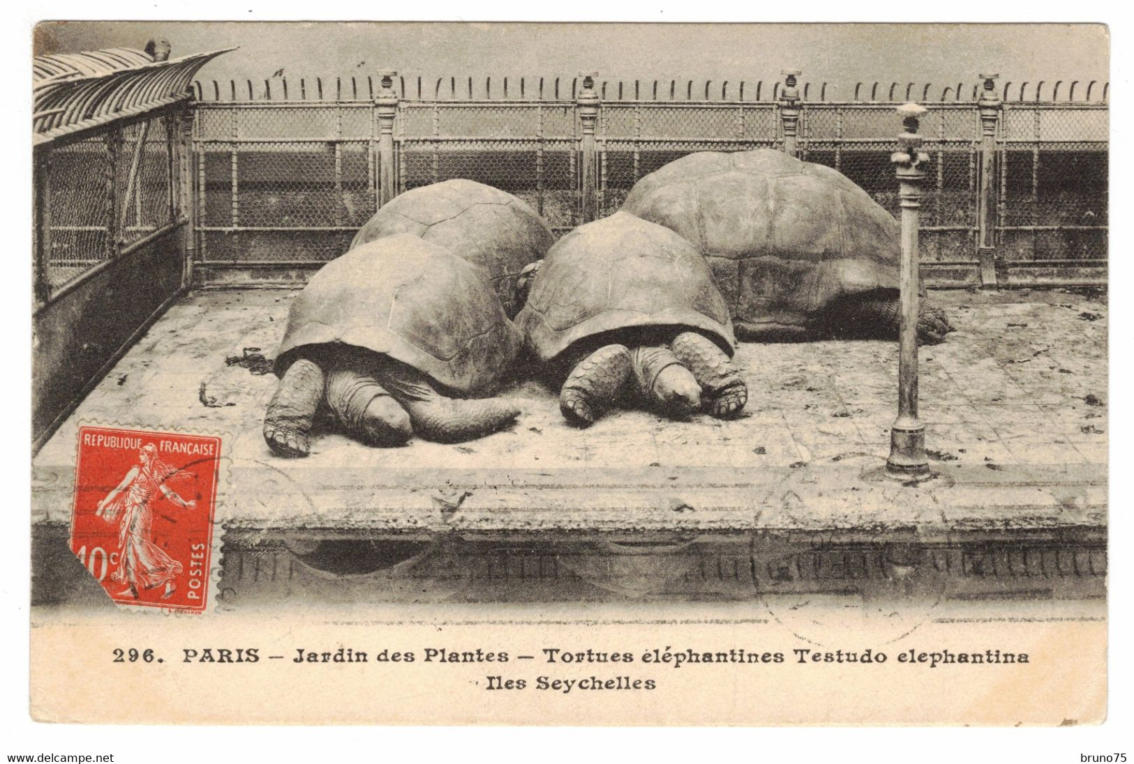 PARIS - Jardin Des Plantes - Tortues éléphantines - Testudo Elephantina - Iles Seychelles - Tortugas