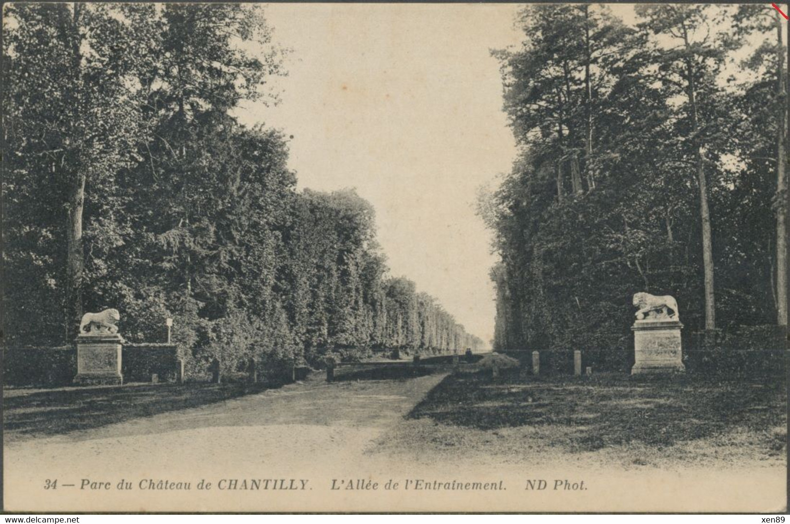 CPA - N° 138 - Semeuse Camée -- ANNEAUX-LUNE -- Sur Carte Postale CHANTILLY - L'Allée De L'Entraînement - Lettres & Documents