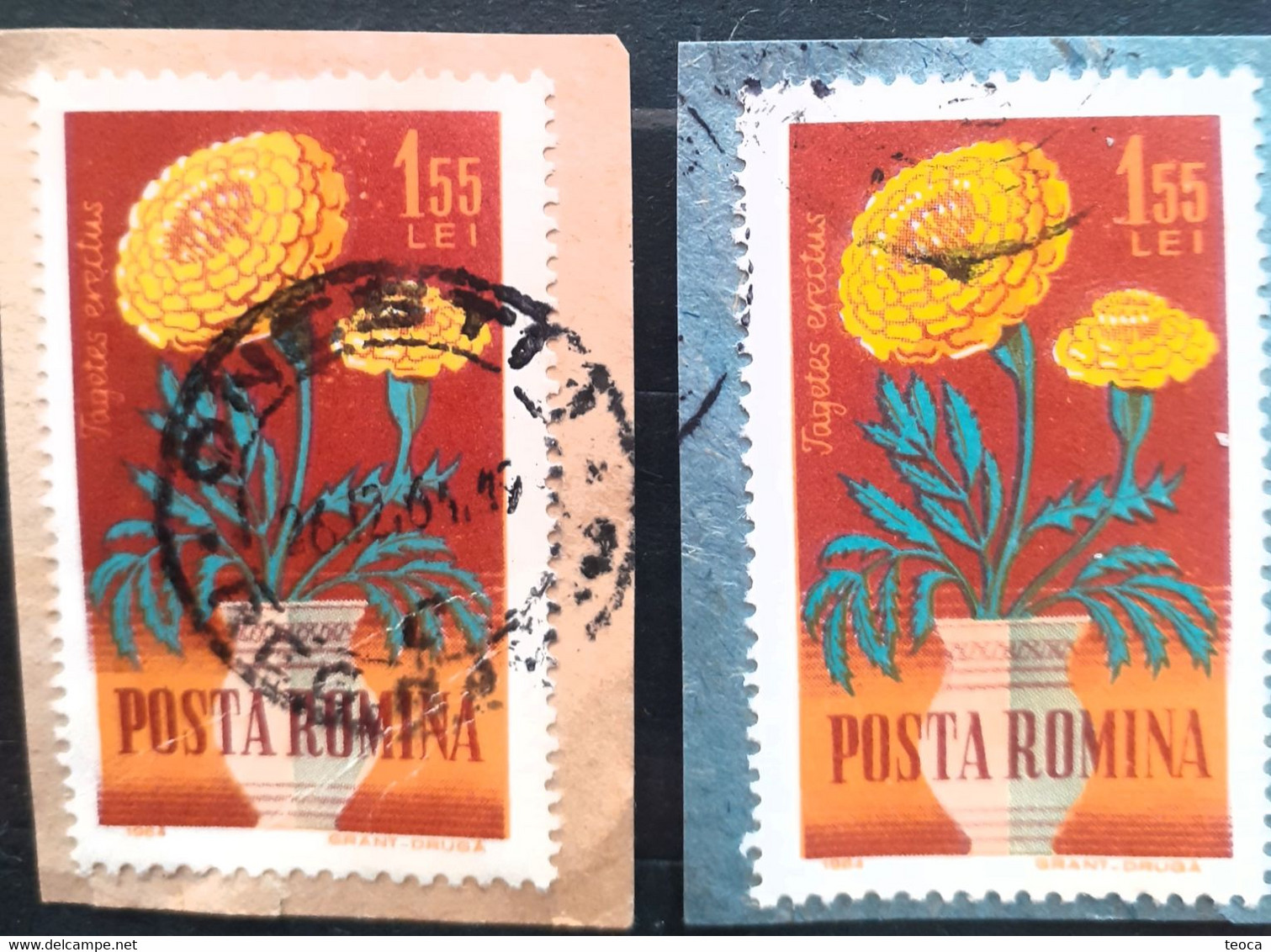 Errors Romania 1964 Mi 2275  Printed With Broken Frame Used,plants Flowers - Variétés Et Curiosités