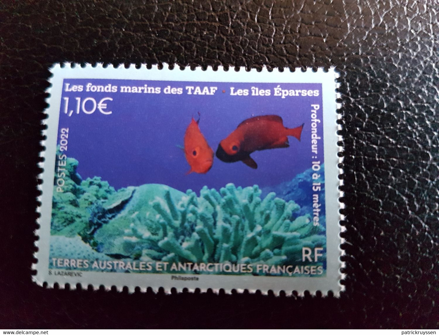 Fsat 2022 Taaf Antarctic Seabed Fish Corals EPARSES Fonds Marine Life 1v Mnh - Unused Stamps
