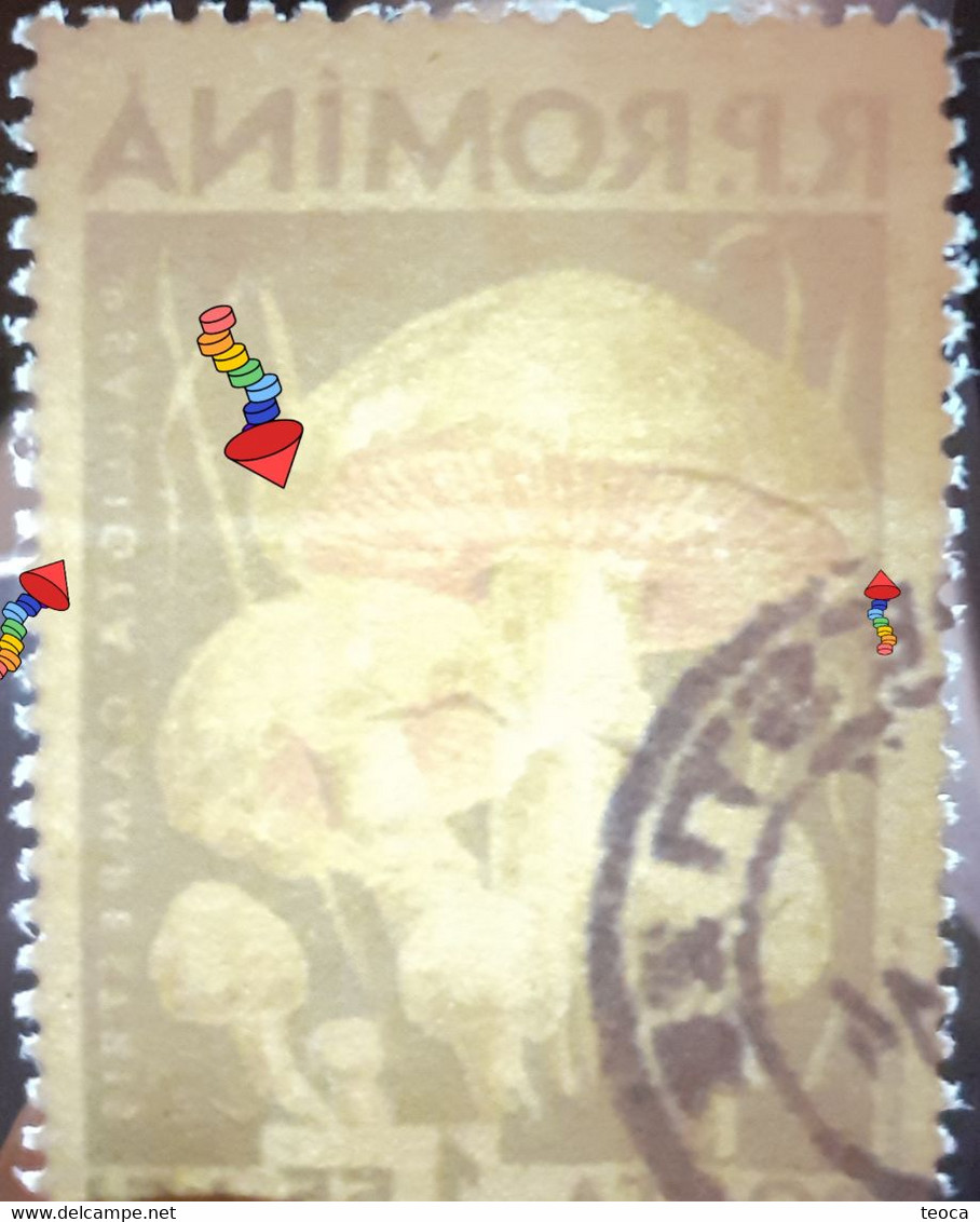 Errors Romania 1958 Mi 1728 Mushrooms Printed With Watermark  Horizontal Line  Used - Abarten Und Kuriositäten