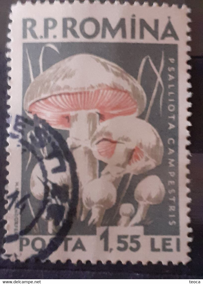 Errors Romania 1958 Mi 1728 Mushrooms Printed With Watermark  Horizontal Line  Used - Plaatfouten En Curiosa