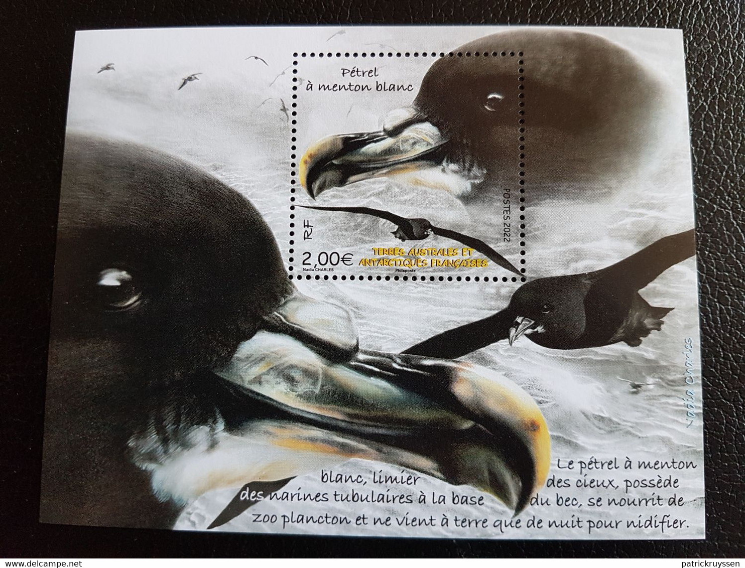 Fsat 2022 Taaf Antarctic Bird Aves Oiseaux PETREL MENTON BLANC Procellaria Ms1v Mnh - Neufs