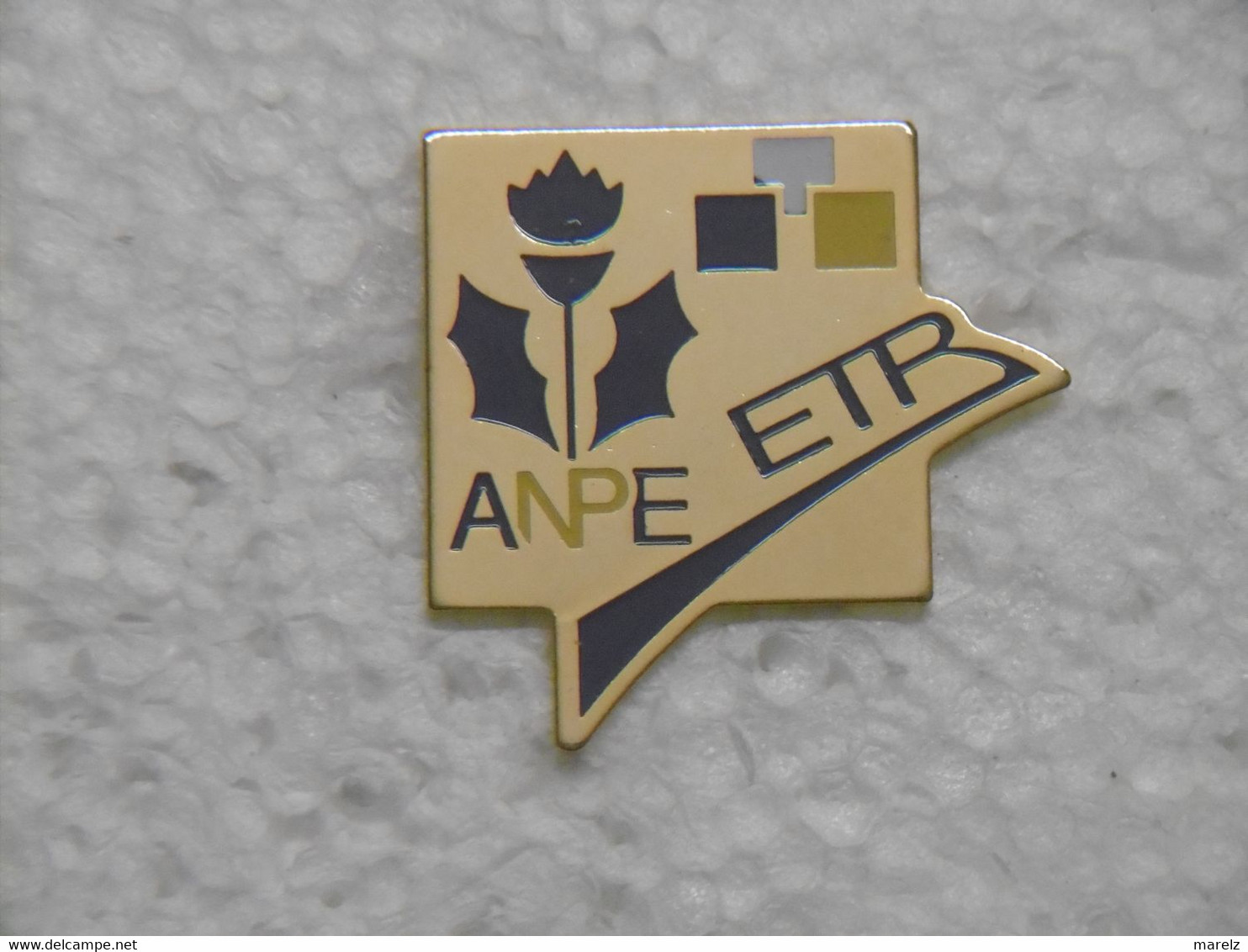 Pin's - ANPE Agence Nationale Pour L'Emploi - Pins Chardon Lorrain Pin Badge Administration LORRAINE - Administrations