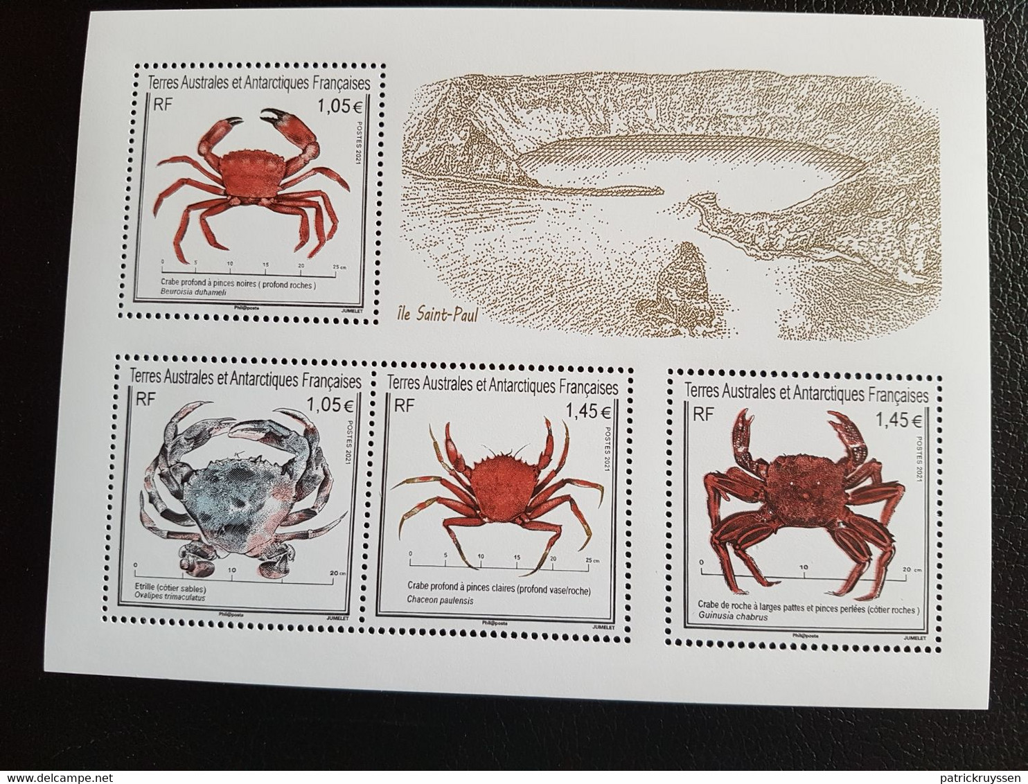 Fsat 2021 Taaf Antarctic Marine Life Crabs Curry Crabe Etrille Krabbe Ms4v Mnh - Nuovi