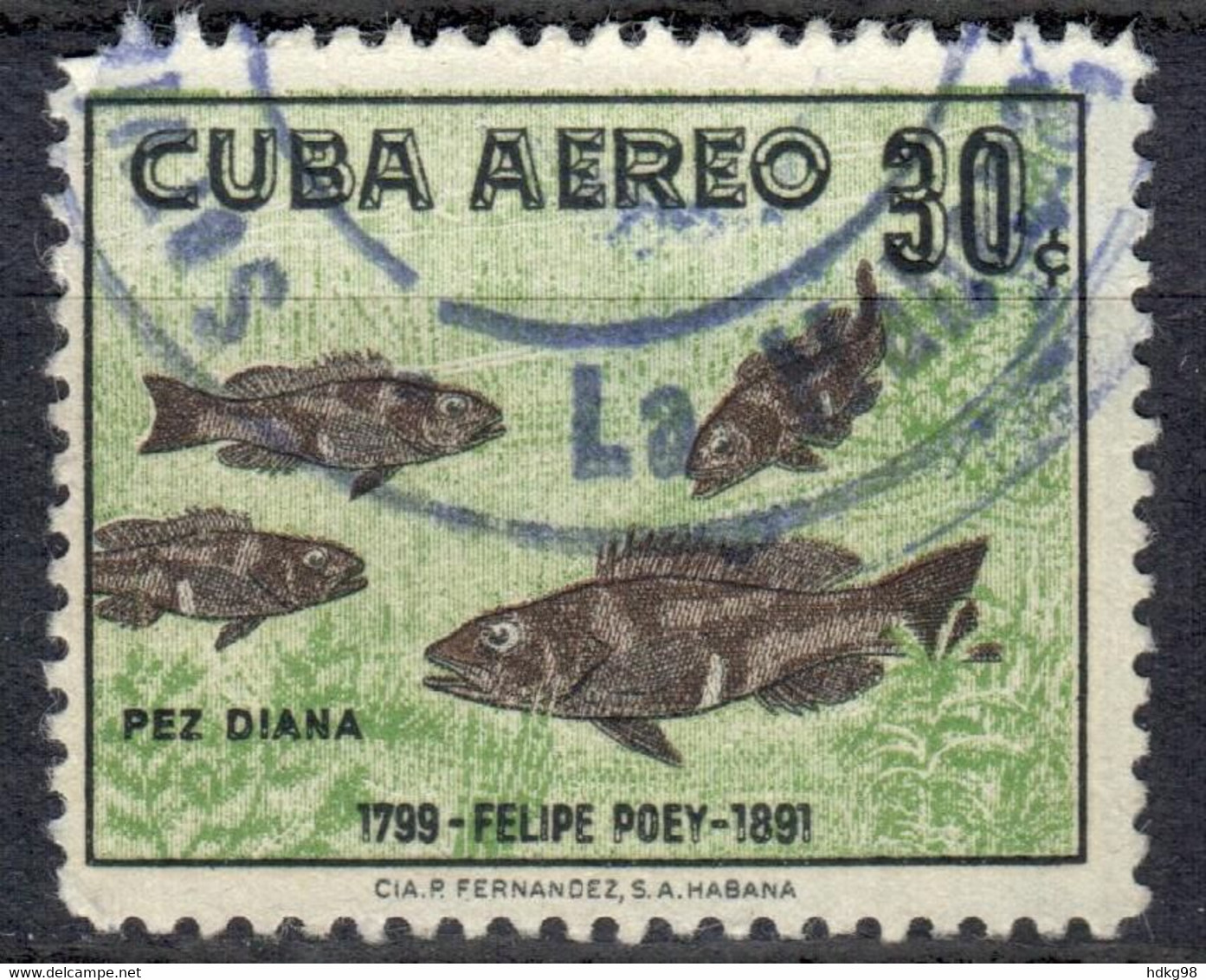 C+ Kuba 1958 Mi 606 Fische TK - Used Stamps