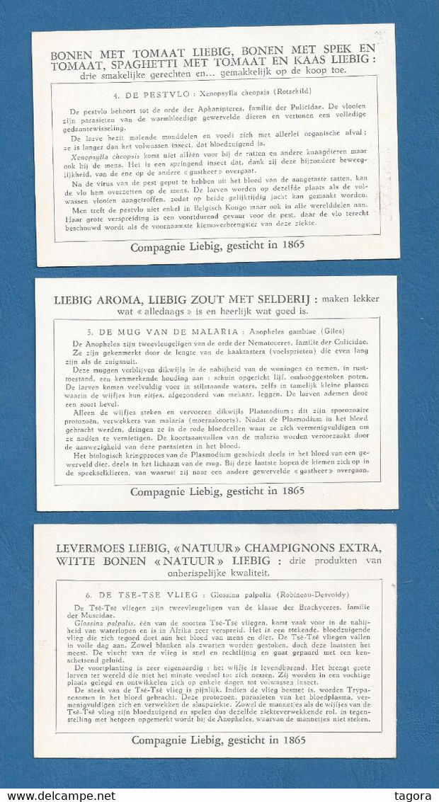 6 Chromos Liebig / Anthropodes Vénéneux Ou Vecteurs De Maladies Du Congo / S1637 / 1956 / Belgique - Liebig