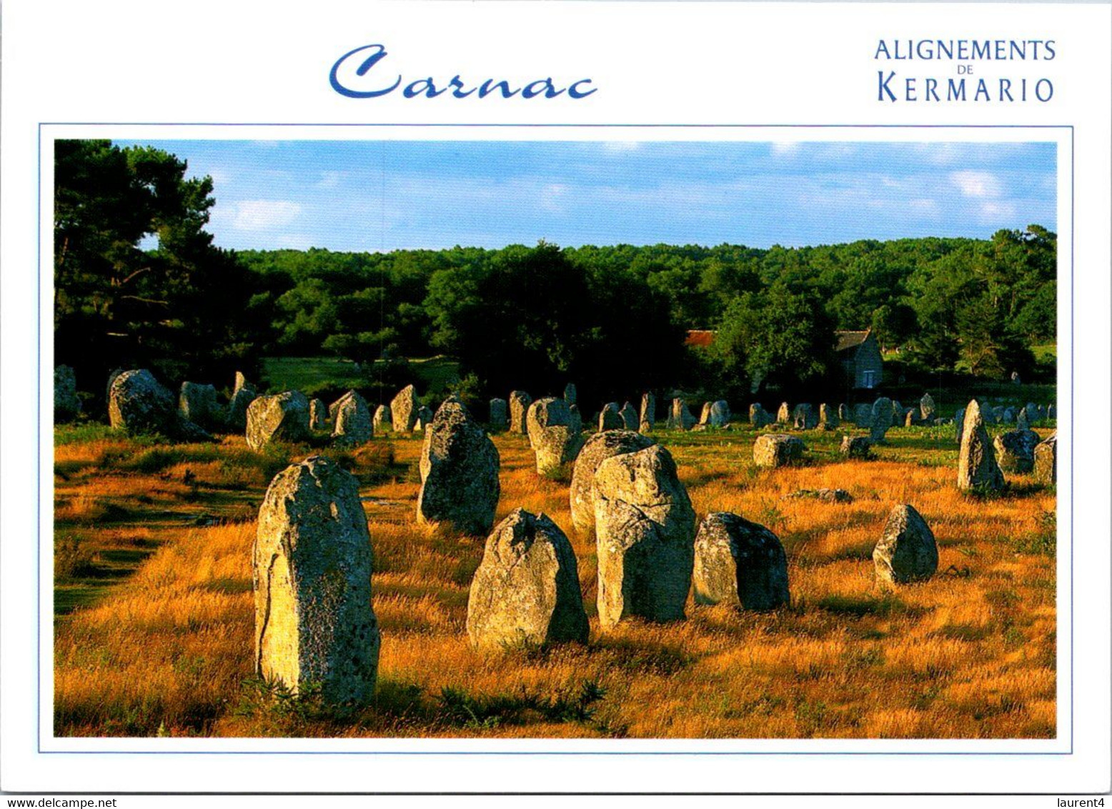 (1 H 50) M+S - France - Carnac Menhir - Dolmen & Menhirs