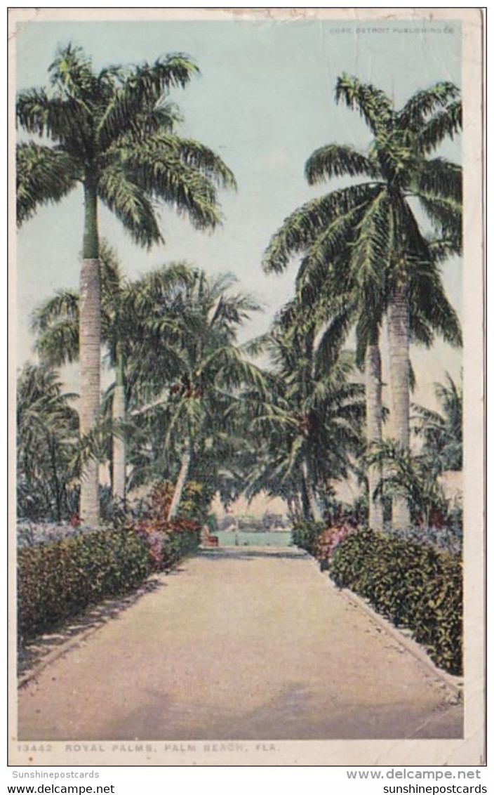 Florida Palm Beach Street Scene With Royal Palms 1921 - Palm Beach