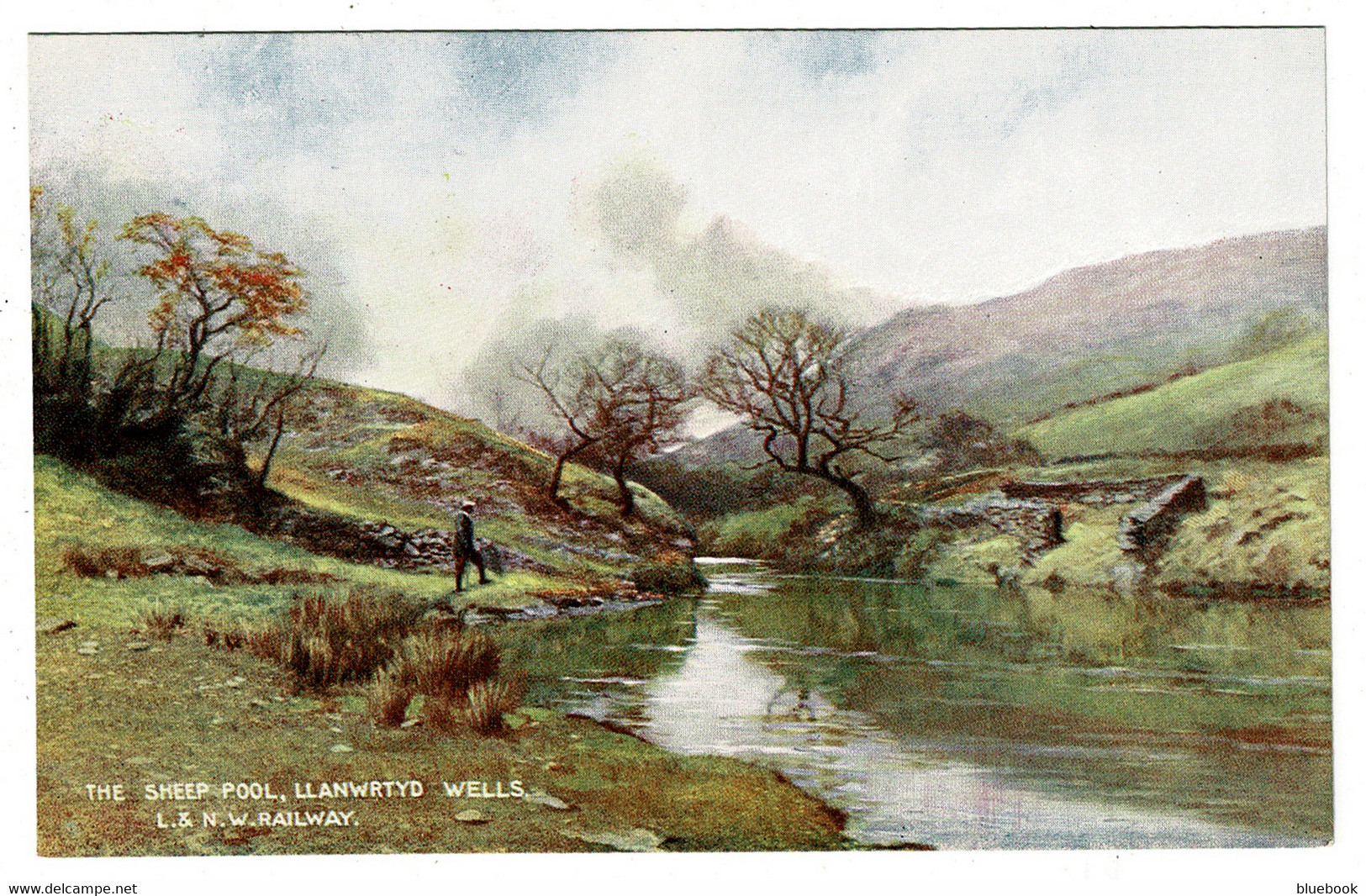 Ref 1539 - L. & N.W. Railway Postcard - The Sheep Pool Llanwrtyd Wells - Breconshire Wales - Breconshire