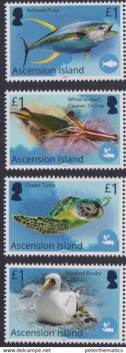 ASCENSION, 2021, MNH, THE BLUE BELT PROGRAMME, BIRDS, FISH, TURTLES, SHRIMPS, 4v - Fishes