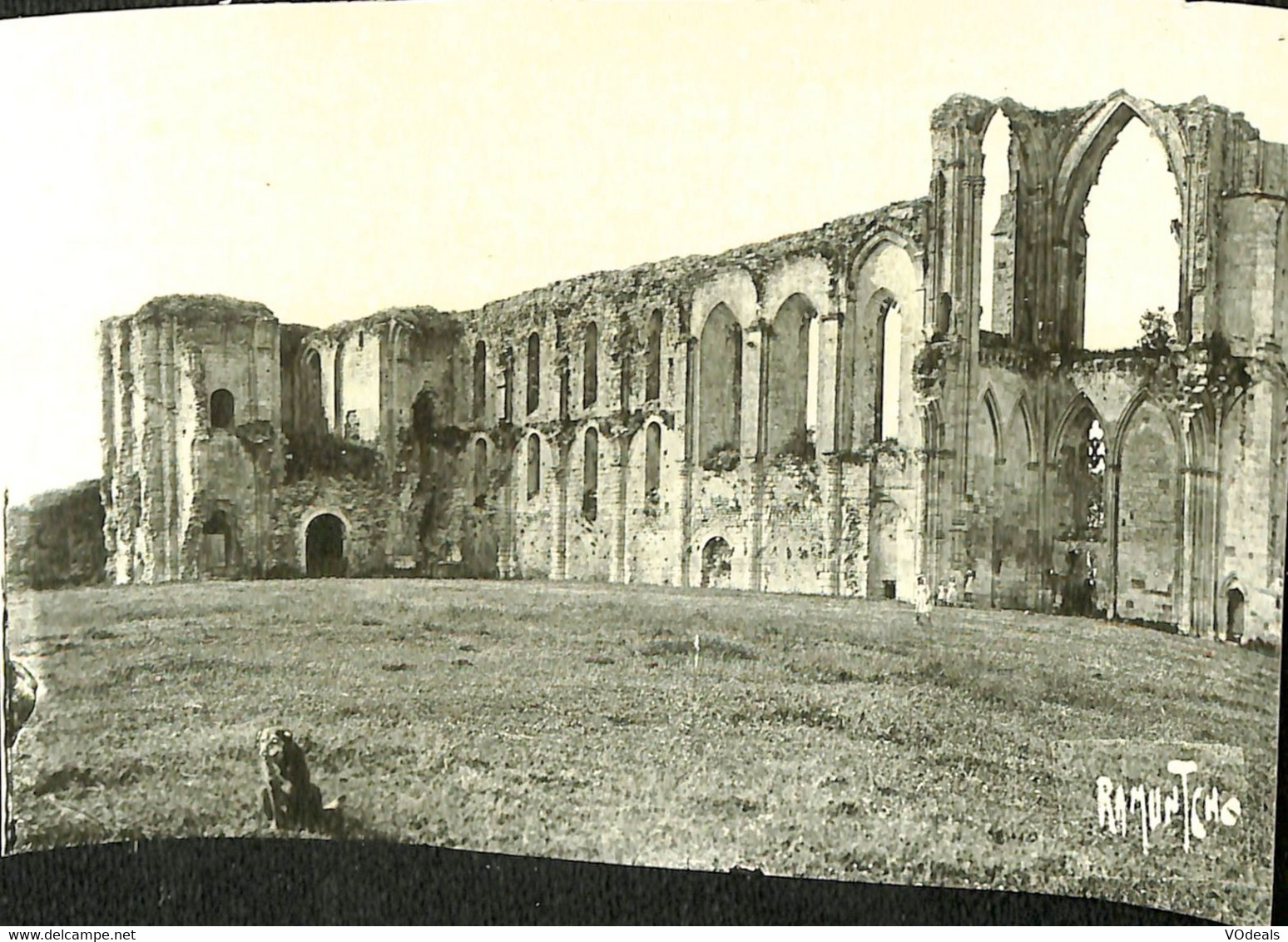 038 141 - CPSM - France (85) Vendée - Maillezais - Ruines De L'ancienne Cathédrale - Maillezais