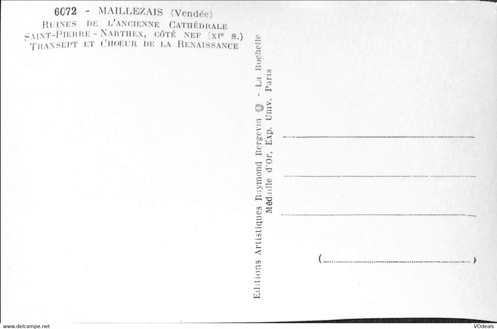 038 141 - CPSM - France (85) Vendée - Maillezais - Ruines De L'ancienne Cathédrale - Maillezais