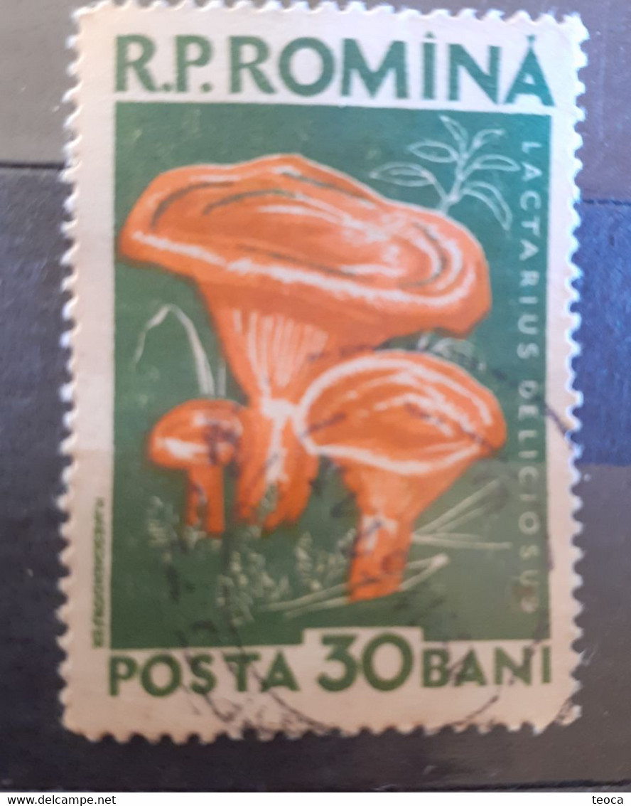 Errors Romania 1958 Mi 1724 Mushrooms Printed With Watermark  Horizontal Line  Used - Variétés Et Curiosités