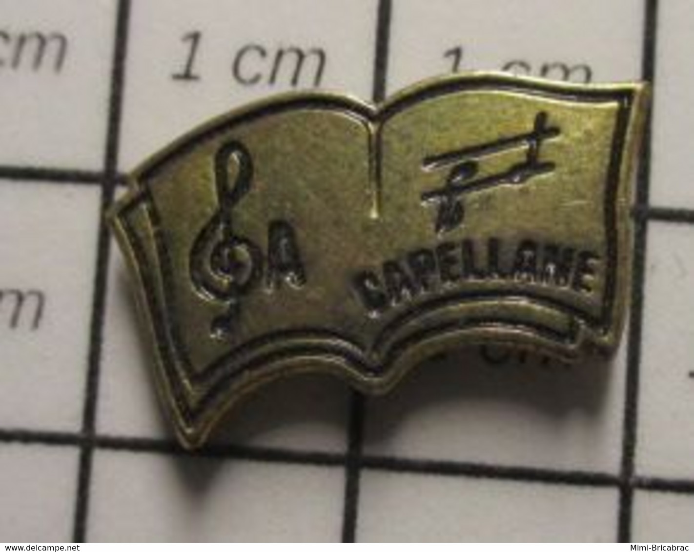 611a Pin's Pins / Beau Et Rare : THEME MUSIQUE / LA CAPELLANE ORCHESTRE FANFARE CHORALE OK Sans Règlement De Comptes ! - Musique