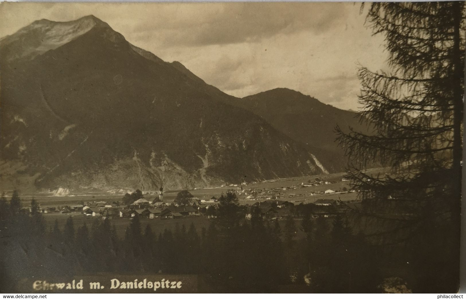 Austria // Ehrwald - Tirol //Photo - AK // Blich Auf Mit Danielspitze 1920 - Ehrwald