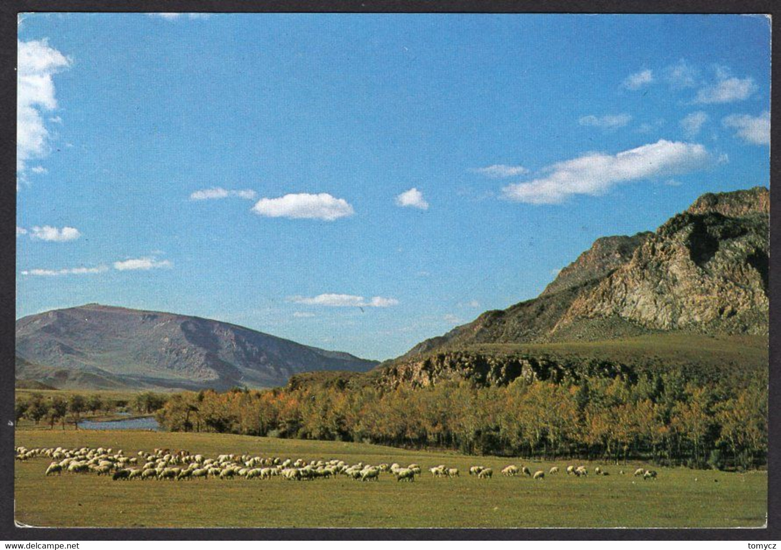 12x Postcards Mongolia 197?-198?, Used, Not Used - Mongolia