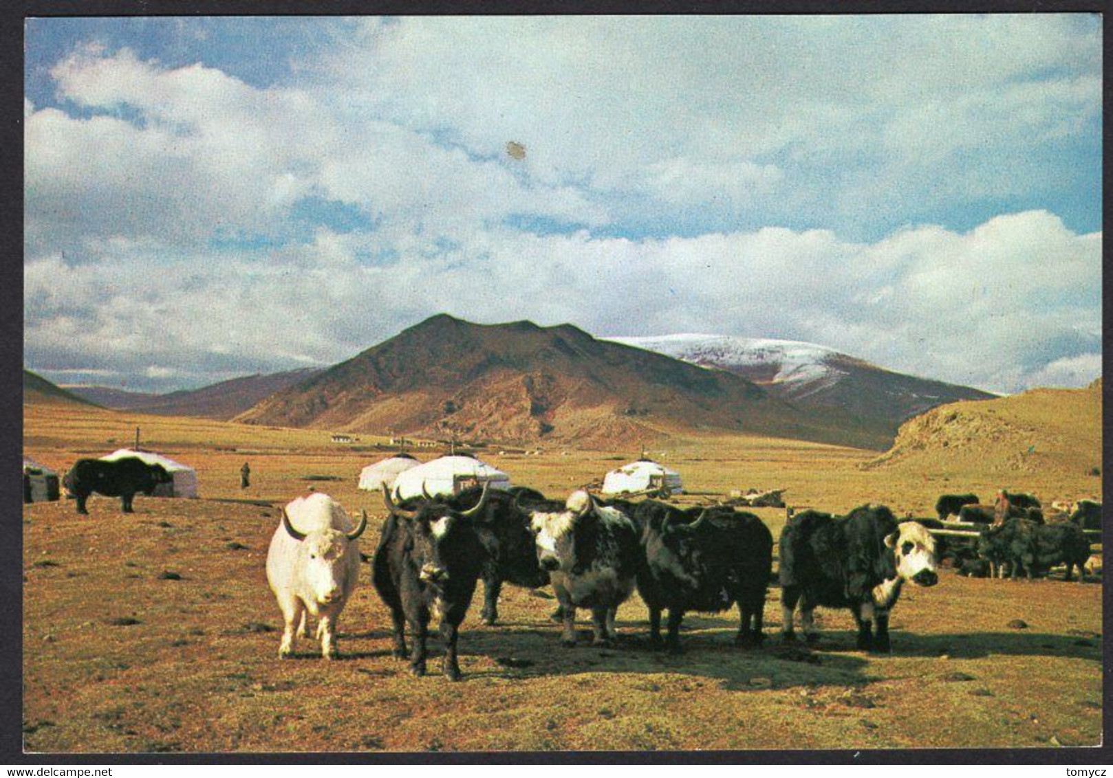 12x postcards Mongolia 197?-198?, used, not used