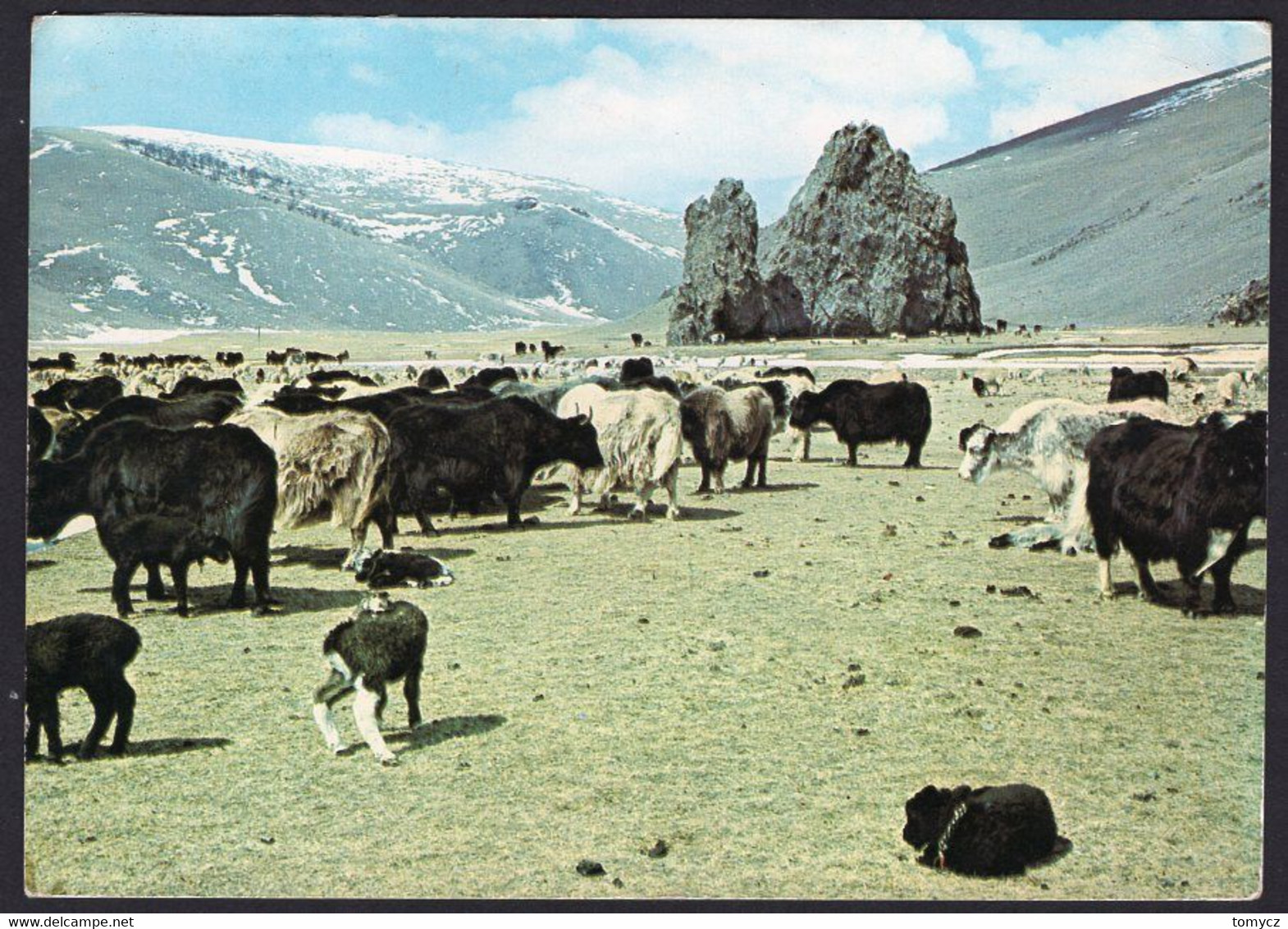 12x postcards Mongolia 197?-198?, used, not used