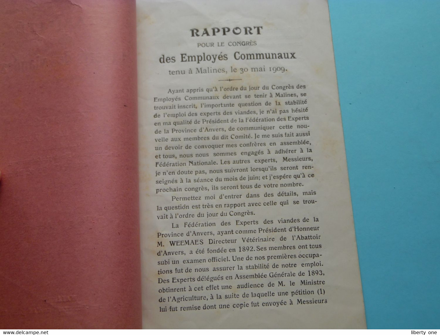 Stabilité Des Experts Des VIANDES - RAPPORT Envoyé A Mr. Novent Président > Tenu à MALINES > Mai 1909 ( Zie SCANS ) - Wetten & Decreten