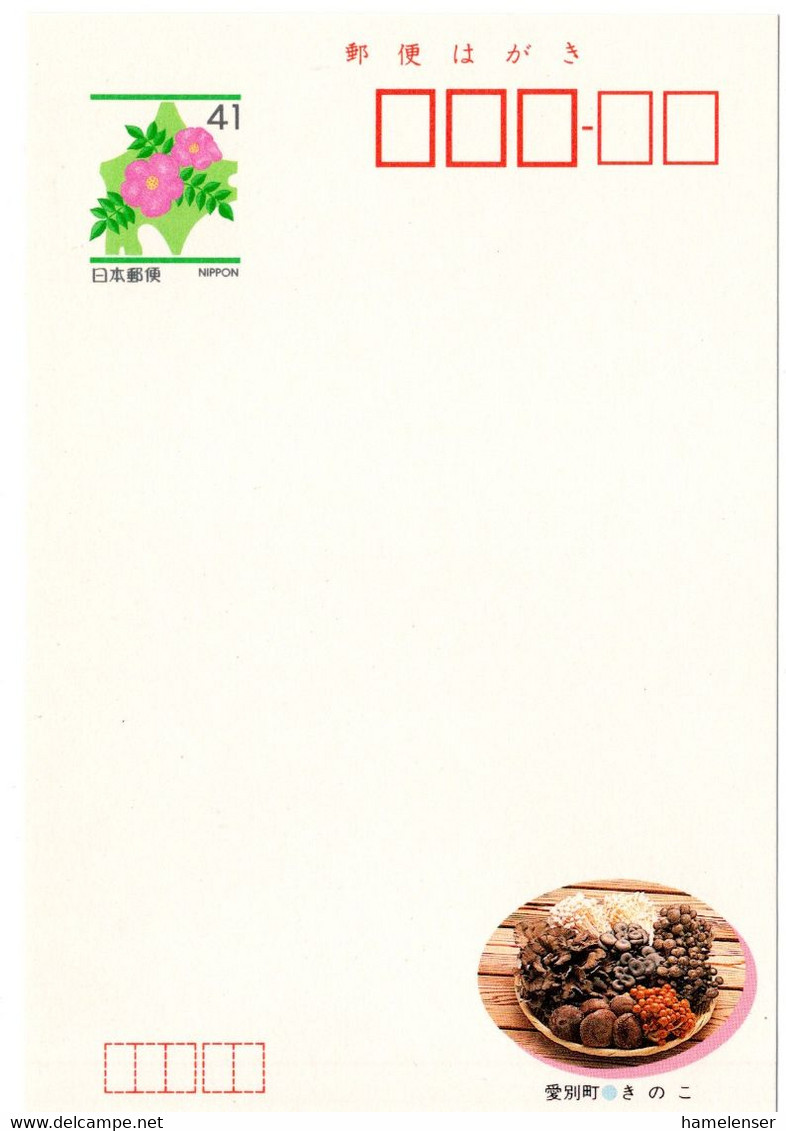 57581 - Japan - 1992 - ¥41 Bild-GA-Kte "Speisepilze, Aibetsu-cho, Hokkaido", Ungebraucht - Champignons