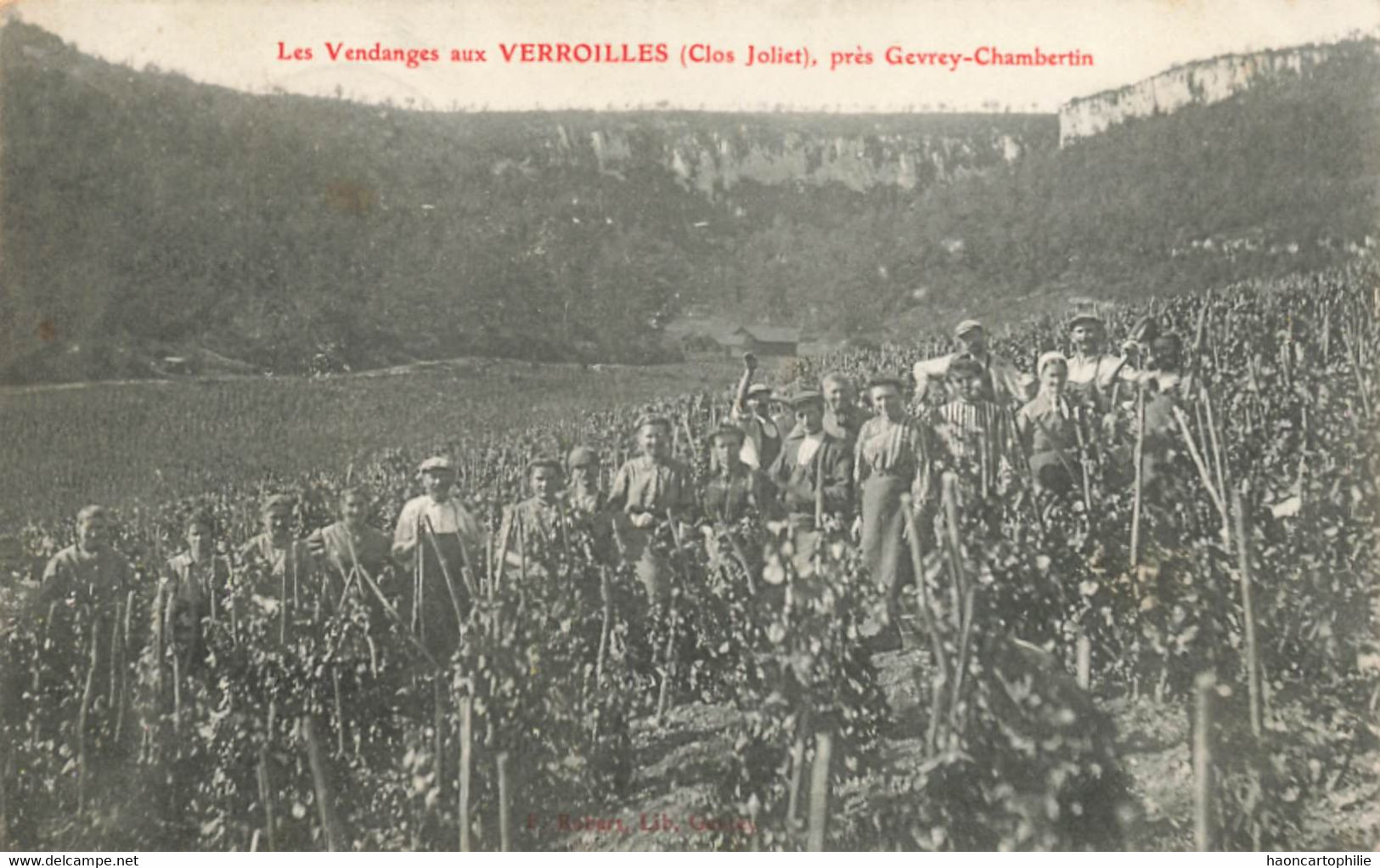 21 Gevrey  Chambertin Les Vendanges Aux Verroilles - Gevrey Chambertin