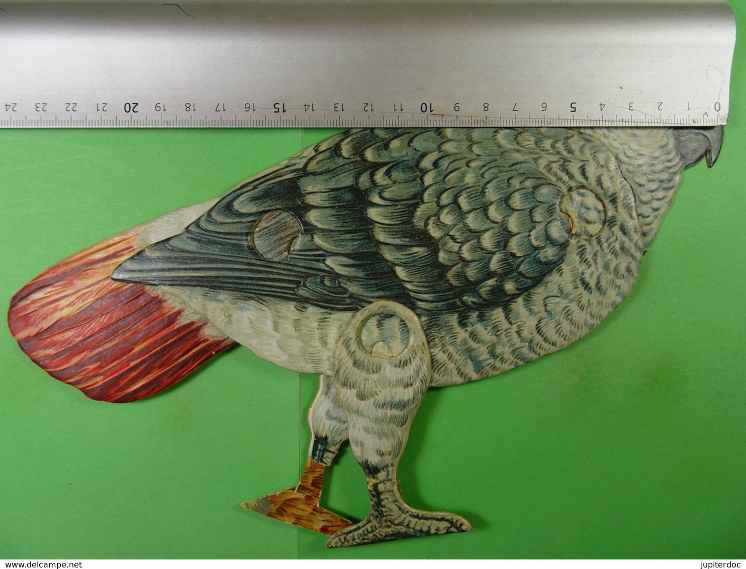 Perroquet En Carton Articulé (papegaai, Parrot) (Edit.Raphael Tuck & Fils) - Jouets Anciens